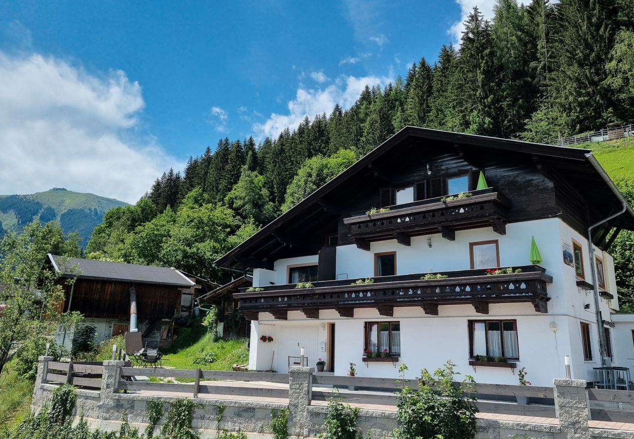 Ferienwohnung in Zell am See - Apartment Bauernhof Birkhöfl - TOP 2