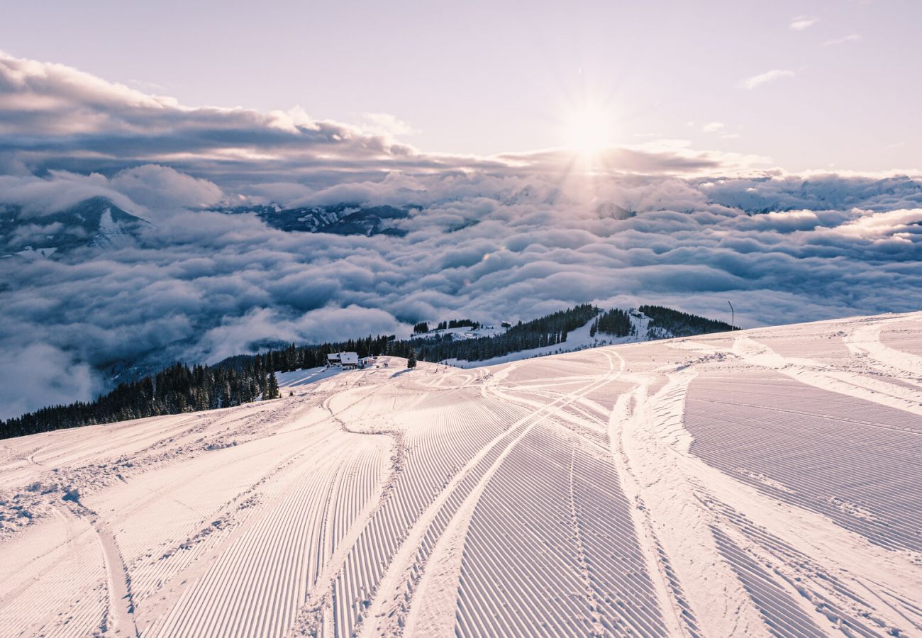 Ferienwohnung in Zell am See - Apartment Bauernhof Birkhöfl - TOP 2