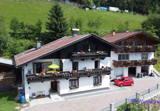 Ferienwohnung in Zell am See - Apartment Bauernhof Birkhöfl - TOP 3